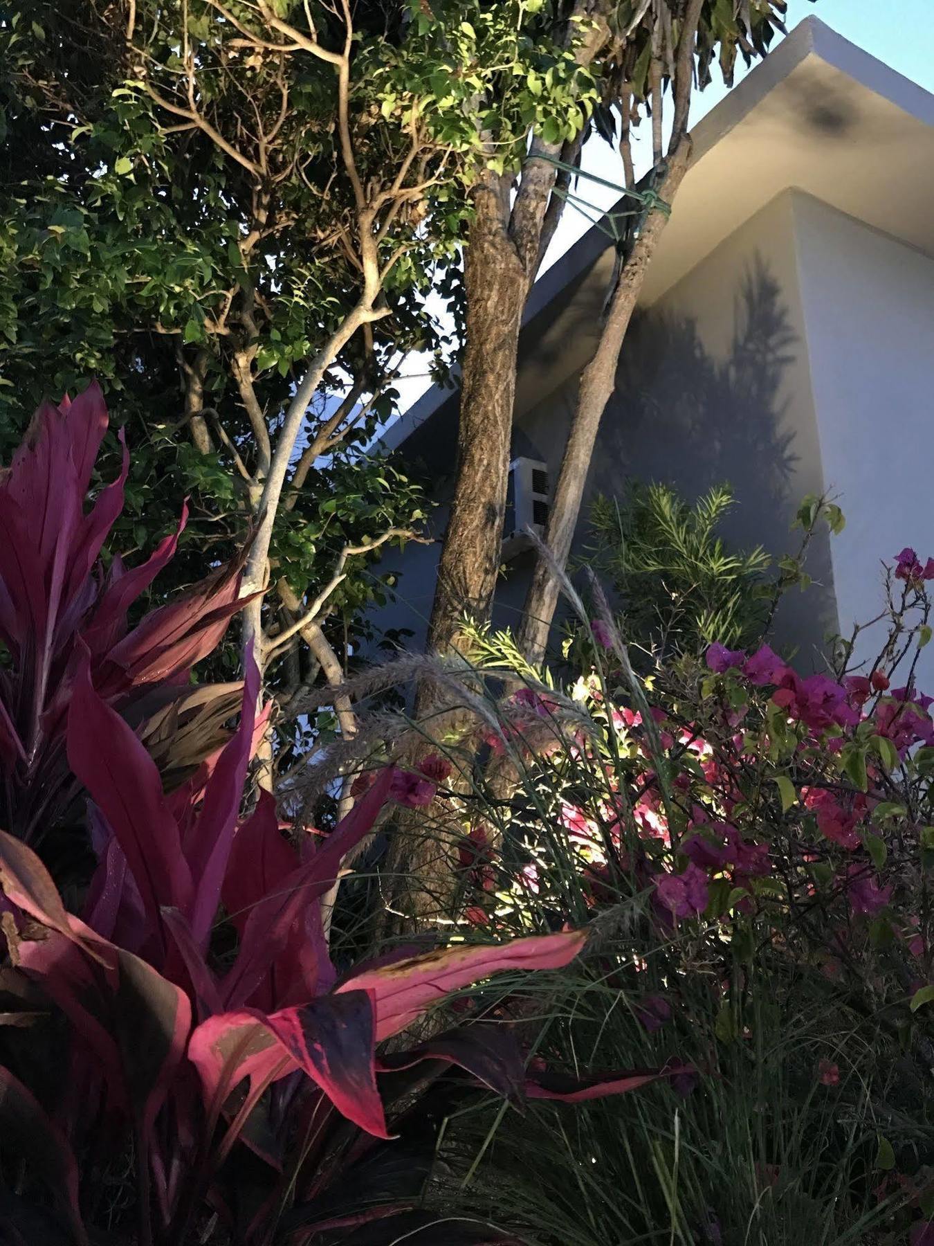 Luxury Miami Beach Apartments By Michigan Zewnętrze zdjęcie